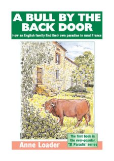 A Bull by the Back Door Book Cover, Anne Loader, Leonie Press