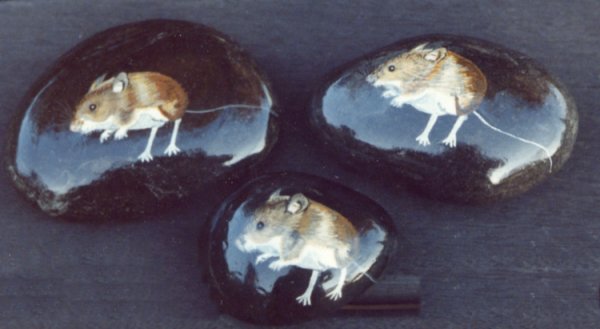 Joni Colchester's painting of mice on stones