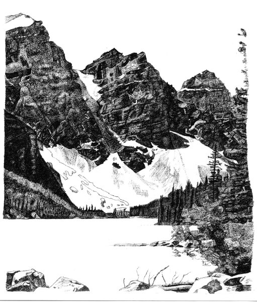 One of Joni Colchester's pen and ink sketches
