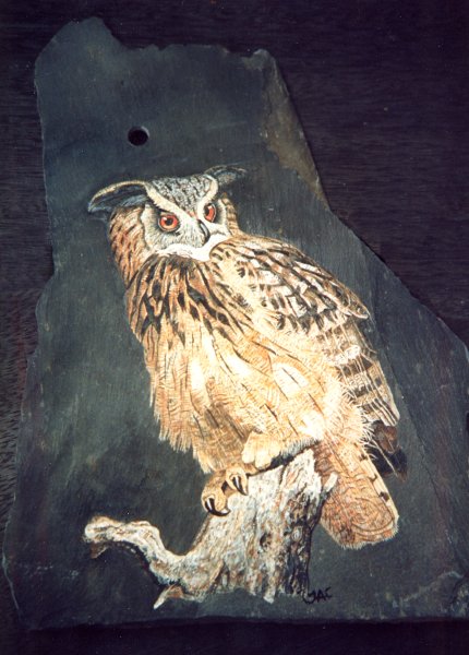 Joni Colchester's painting of an Eagle Owl on slate
