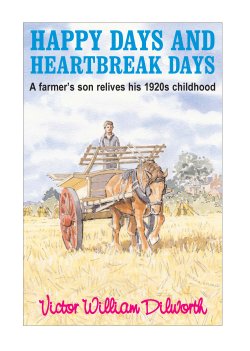 Happy days and heartbreak days Book Cover