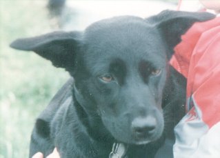 Sally Loader - in her debutant days of 1989